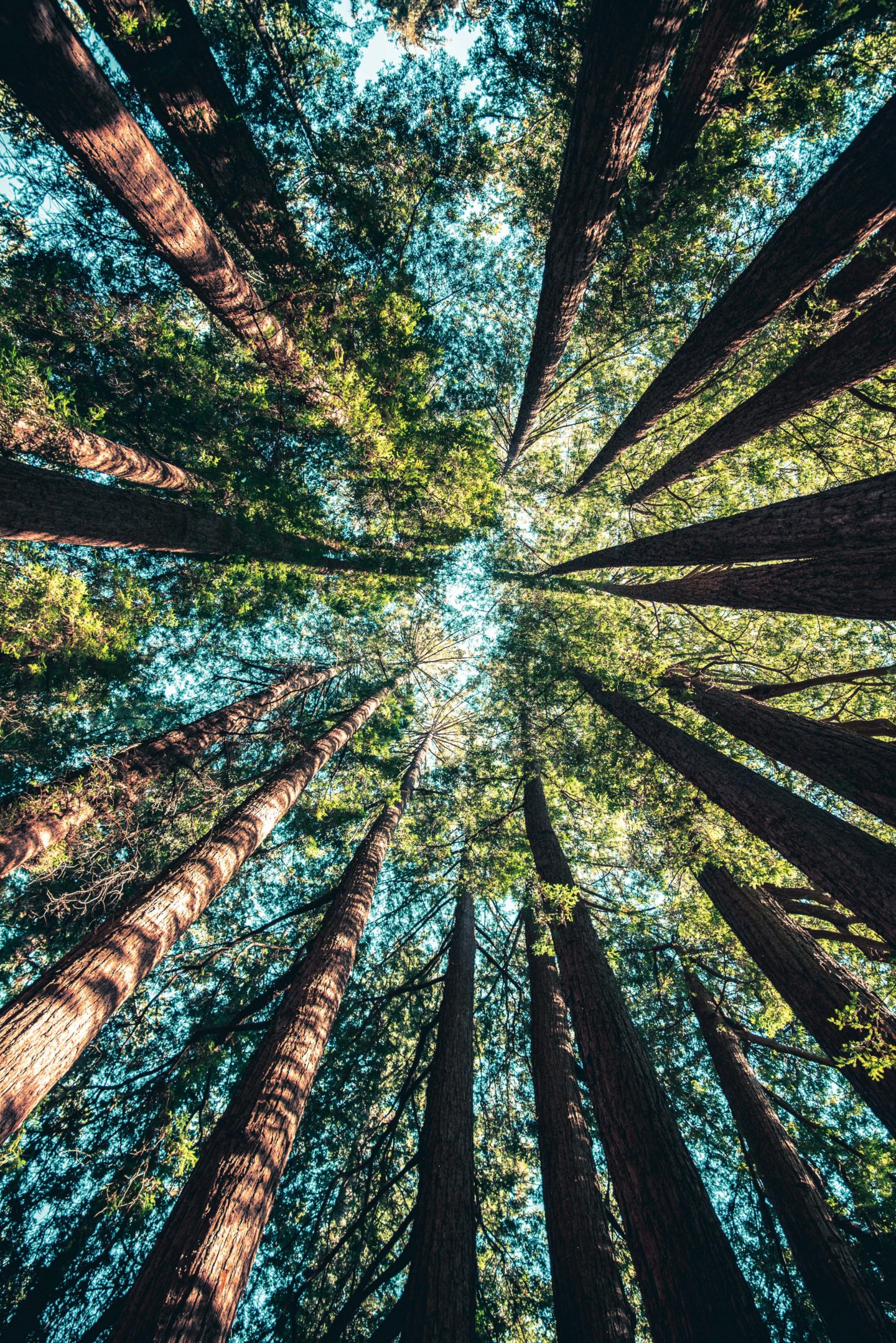 Impact investment