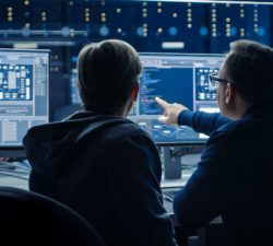 Developer and IT