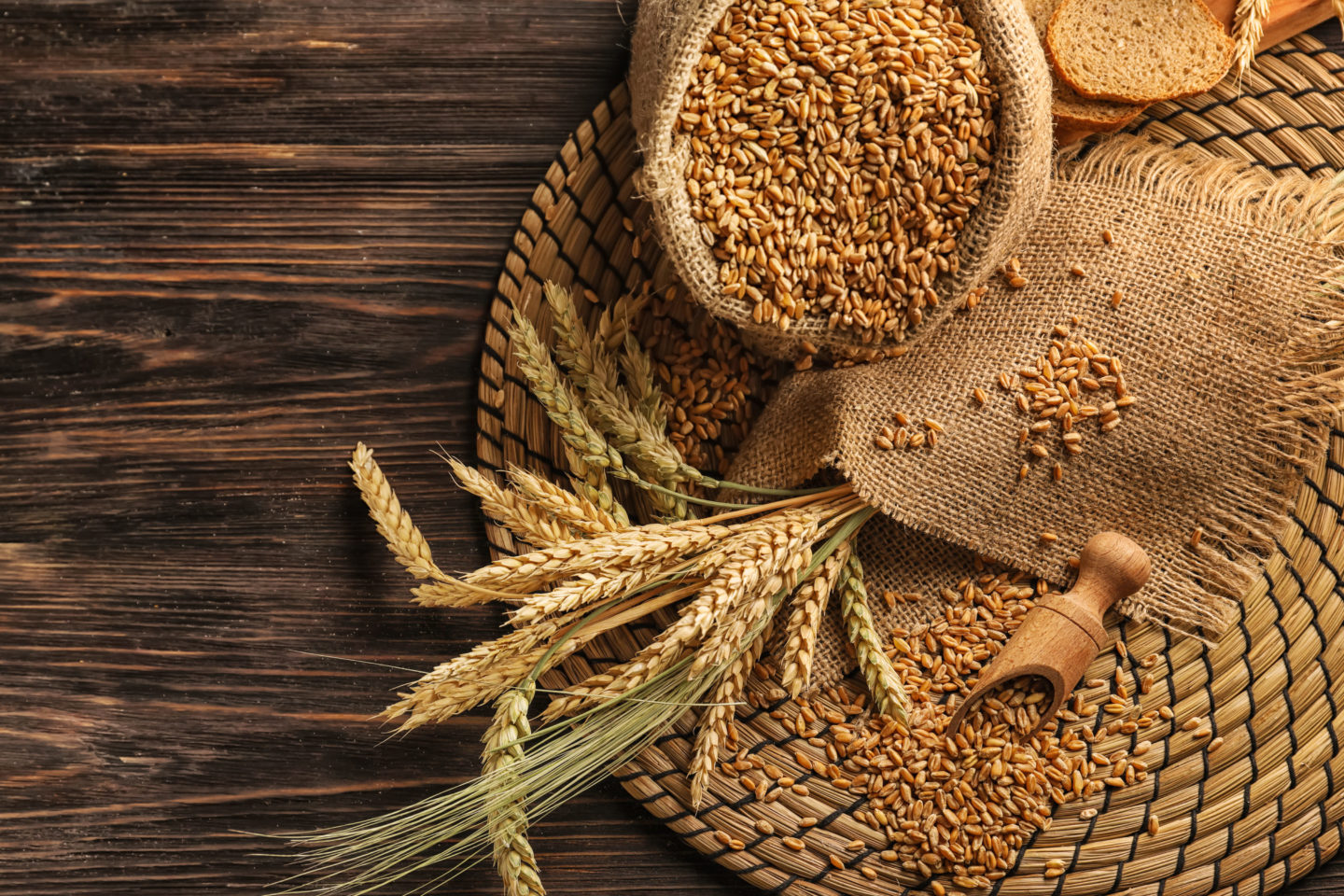 Wheat
