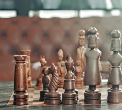 In 2023, take a tip from tech: diversify to survive