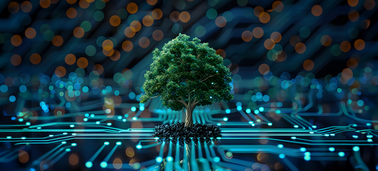 Sustainability